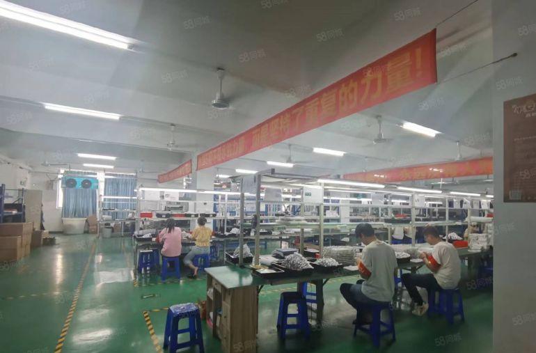 西乡固戍 原房东豪华装修厂房1350平米出租 拎包入驻