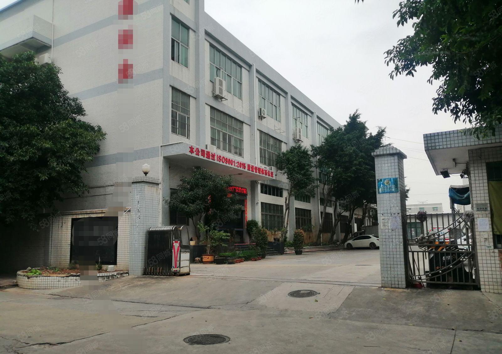 松岗碧头地铁口原房东红本独院厂房二楼1500平方