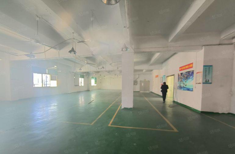 西乡鹤洲桃源居附近1800平方精装修红本厂房出租