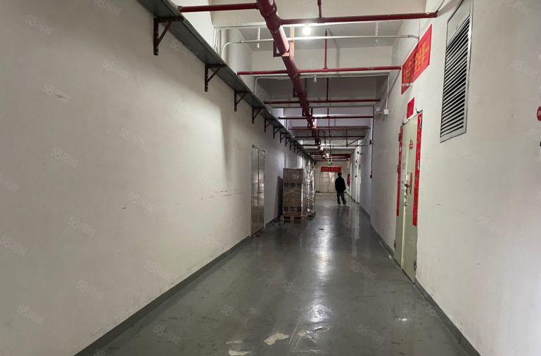 600平方沙井新桥新和大道边精装修厂房价格便宜拎包生产