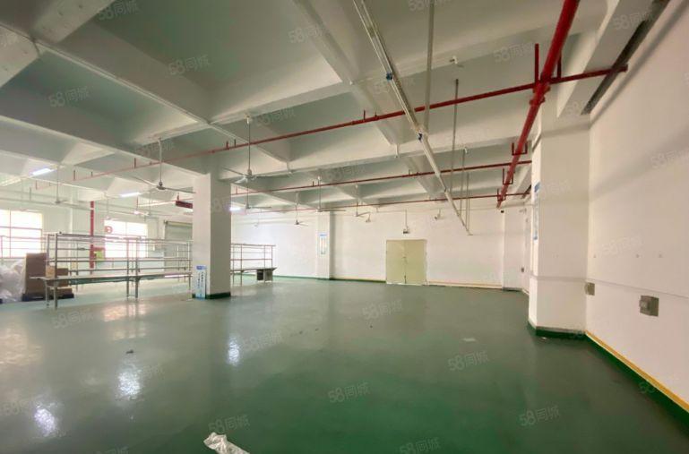 松岗大田洋18元起楼上500平精装修厂房出租仓库出租可分租