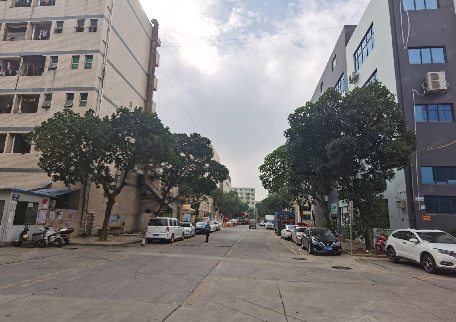 福永桥头地铁站厂房出租1000平方红本一楼仓库带环评厂房分租