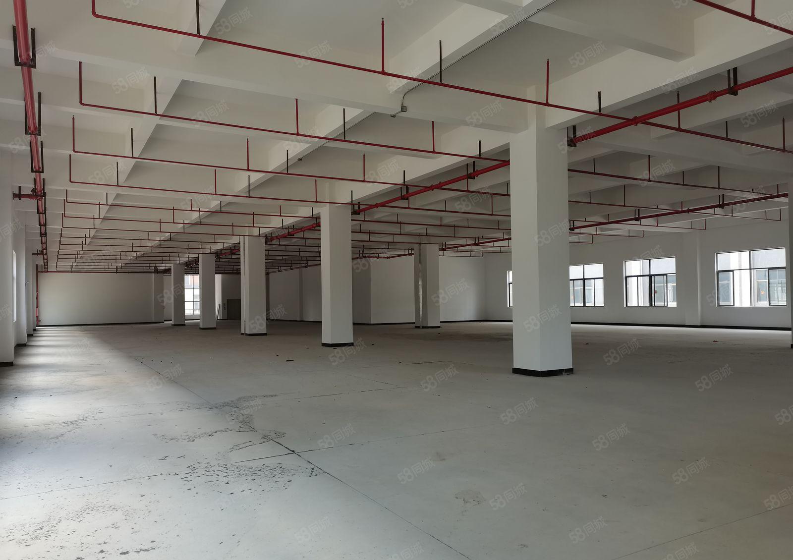 石岩爱群路旁2000平原房东厂房出租500平起租双货梯