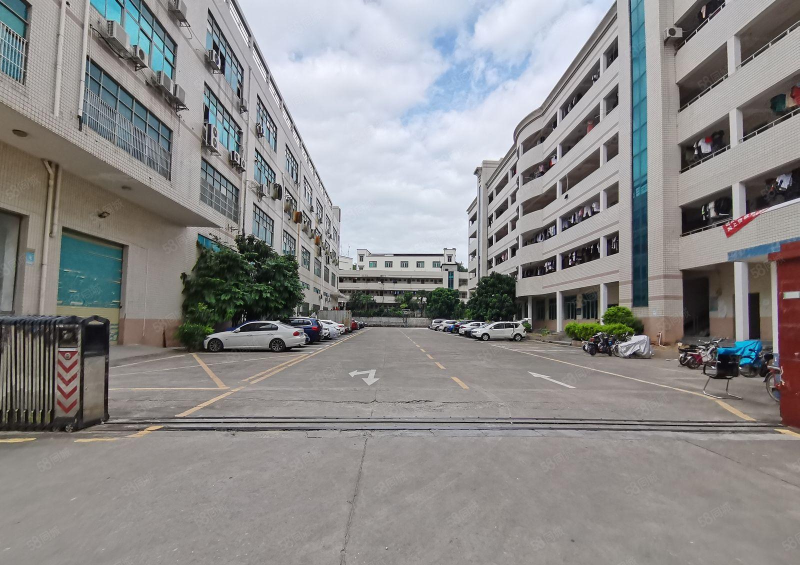 石岩创维附近工业园原房东整栋厂房单层1893平出租超高使用率