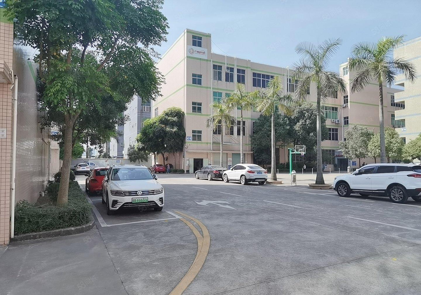 松岗原房东一楼1780平米高是米可办环保