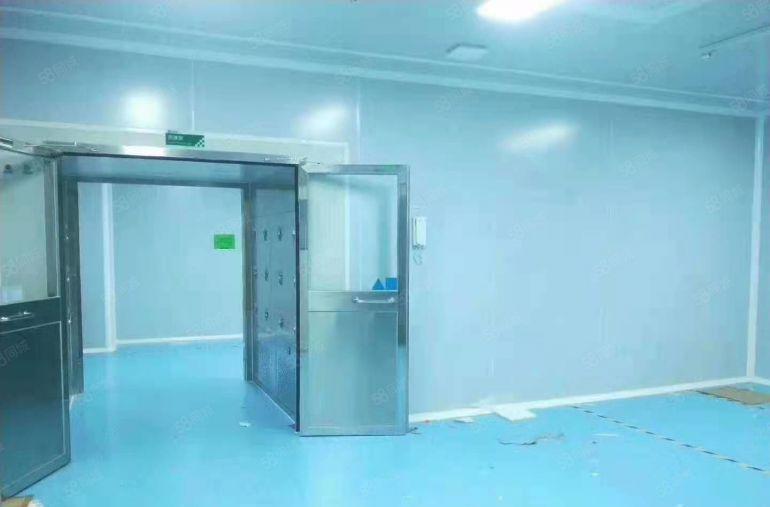 1500平松岗无尘车间厂房出租带装修千级过环评领包入住低价招