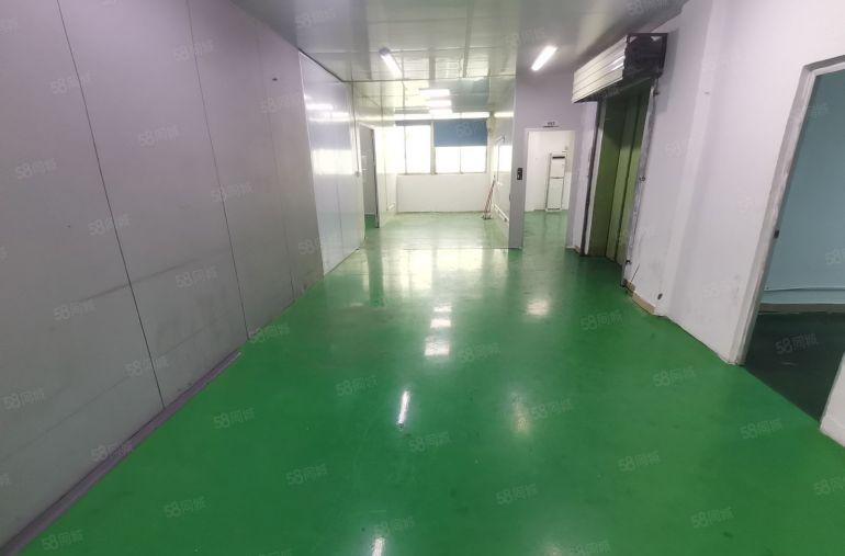 福永107国道边原房东1500平米精装修无尘车间厂房低价出租