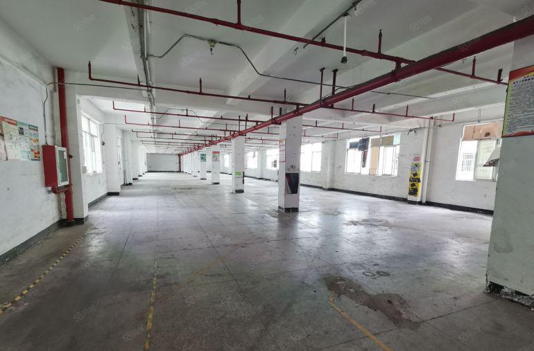 西乡650平全新装修厂房出租可以分租300和350平