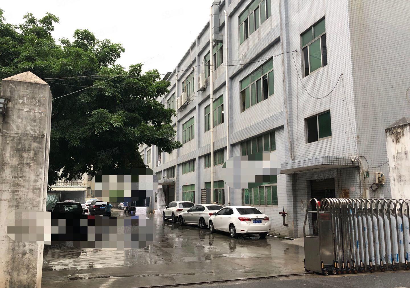 沙井新桥高速旁附近独门独院8000招租 全新出租带精装修