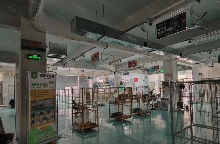 地铁口临街一楼500平带靓装租35元每平位置形象俱佳