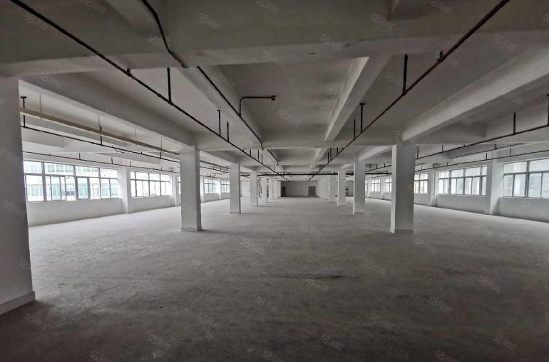 石岩料坑工业园精装修原房东厂房出租1500平无公摊大小可分