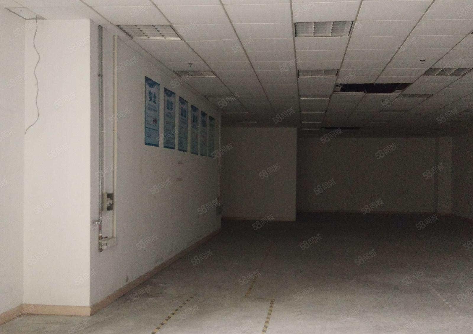 西乡村委无公摊 一手厂房1500平