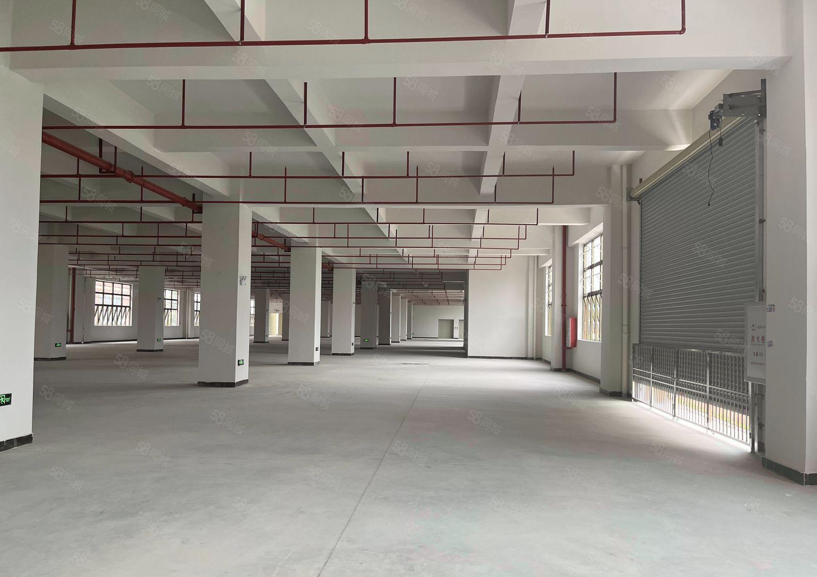 西乡厂房出租，适合仓库加工组装办公展示会议研发检测轻型生产