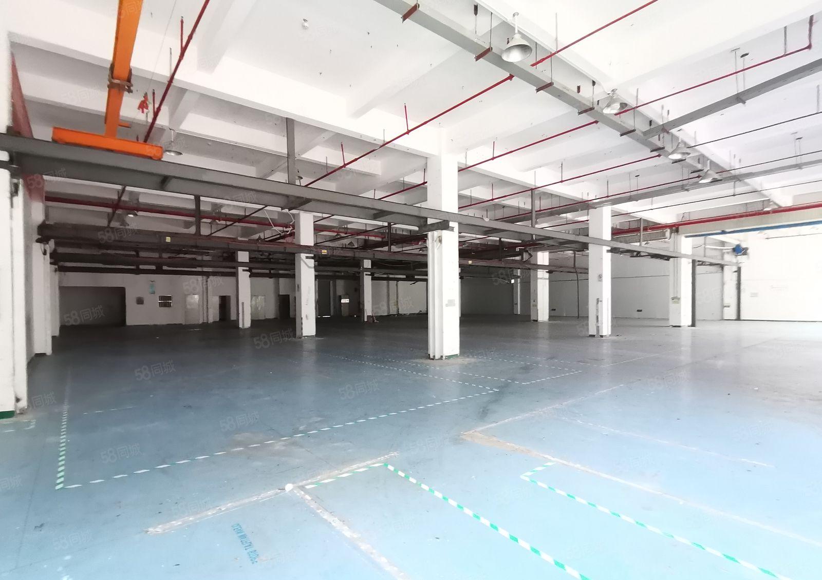 沙井马安山地铁站3000平方一楼原房东红本厂房500平方分租