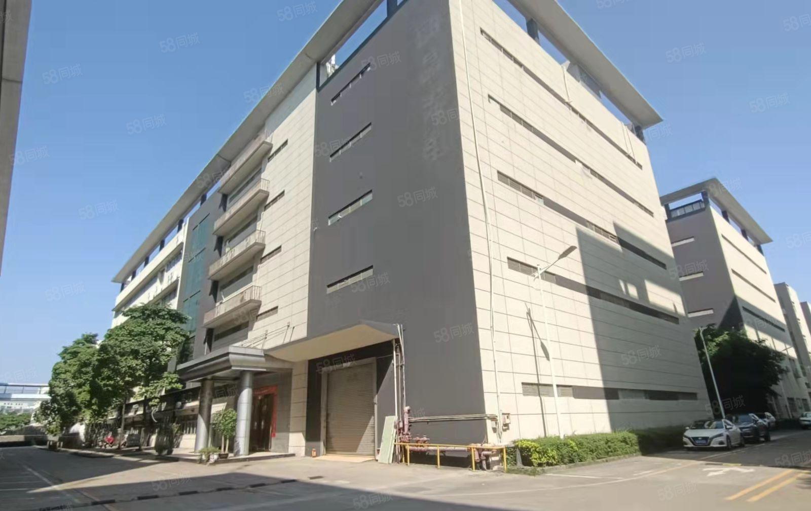 300平起分租福永塘尾红本工业园一楼超大空地1000平出租