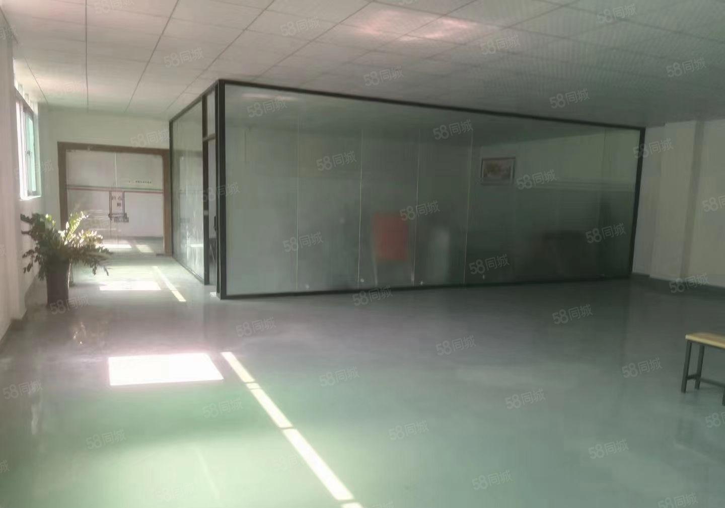 厂房出租松岗大田洋楼上800平方带精装修厂房