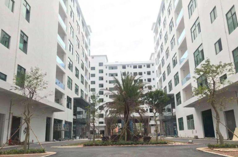 西乡固戍地铁站附近高新园区2000平电子研发办公仓库低价出租