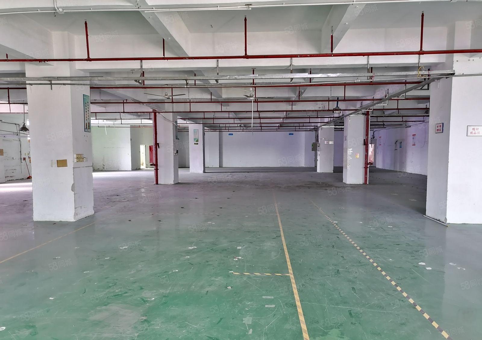 后亭地铁口1300平工贸科技园厂房出租