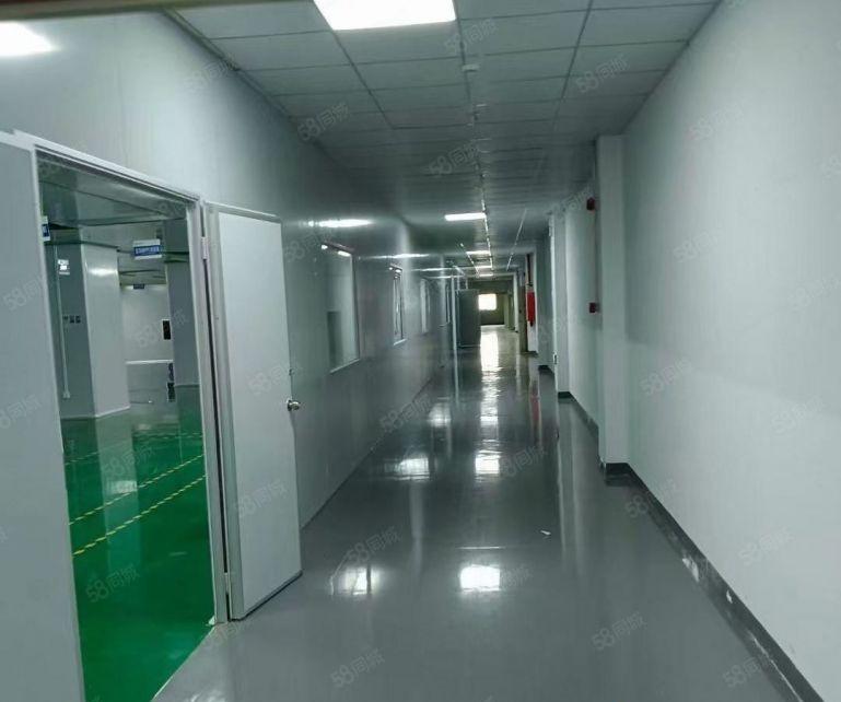 西乡全新无尘车间整层3200平原房东实际面积出租无转让费