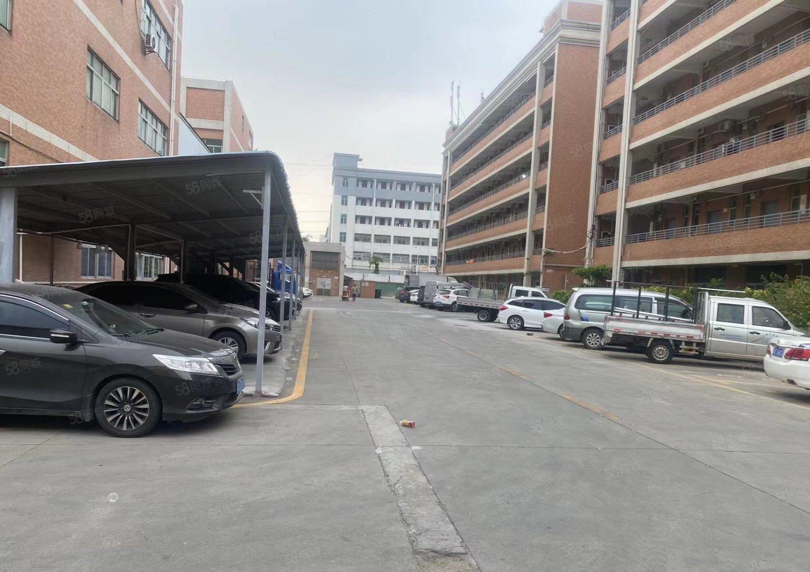 松岗107国道边一整栋宿舍5000平方出租