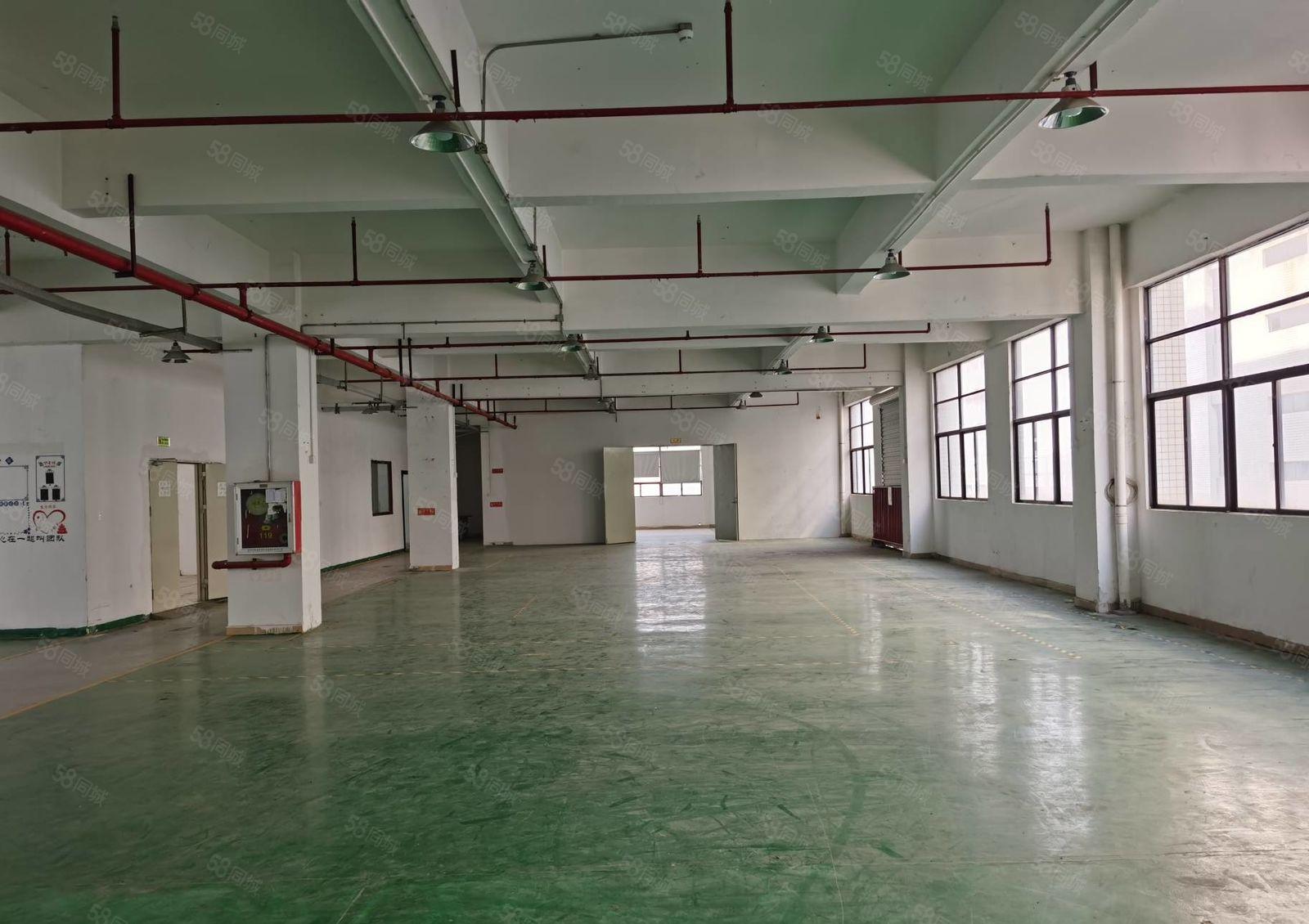 松岗红星新出楼上厂房1200带装修实际面积原房东过环评22