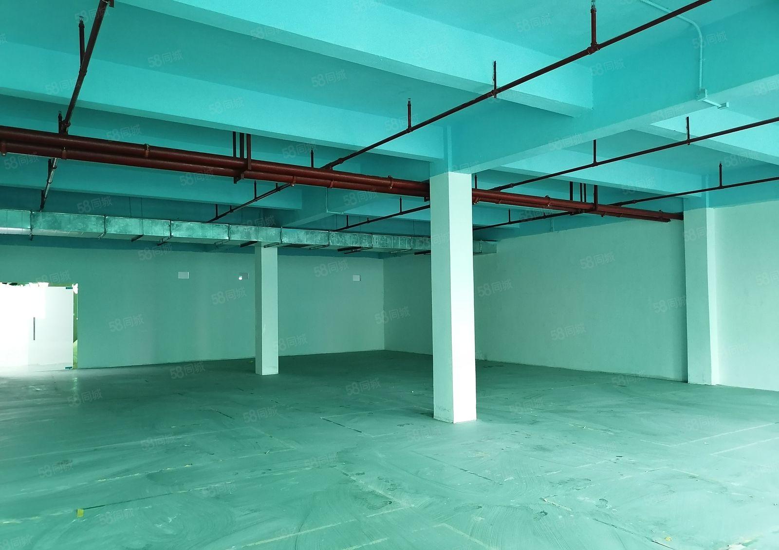 新桥107国道旁厂房大小分租