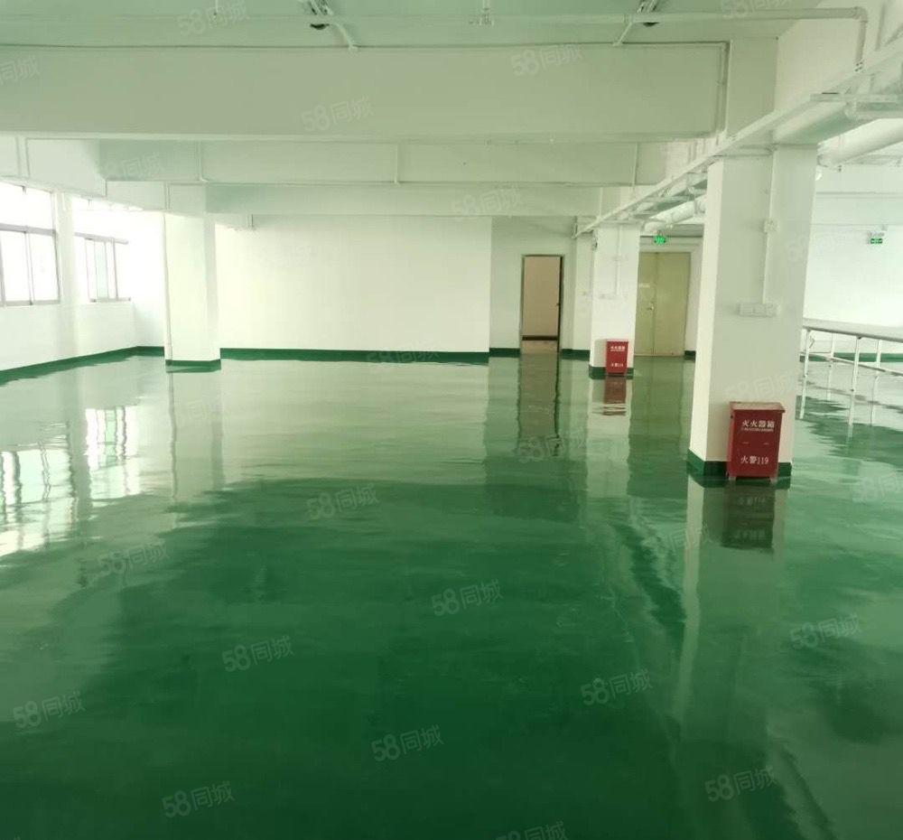 松岗地铁站新出原房东独门独院3500平方厂房招租