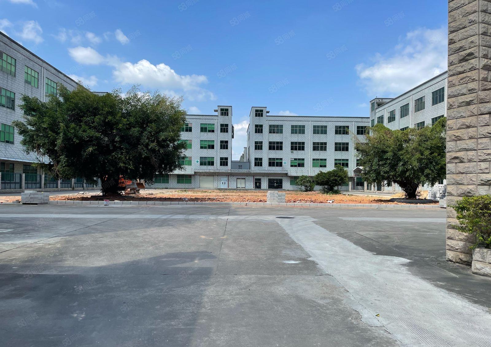 西乡43600平红本独院主干道边高新园区空地大2000平起分