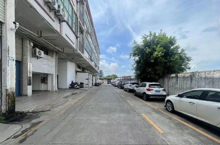 沙井和一1楼200平，水电齐全拎包入住