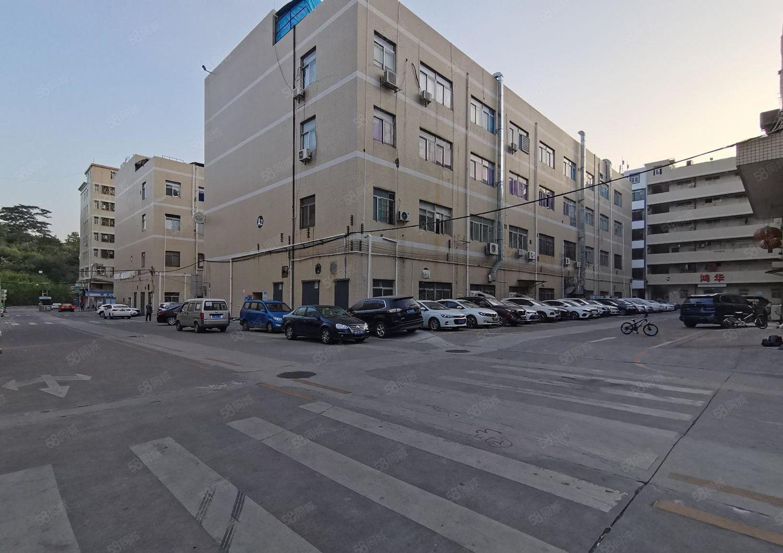 光明高新园区800平至3000平一二楼仓库厂房出租独院分租