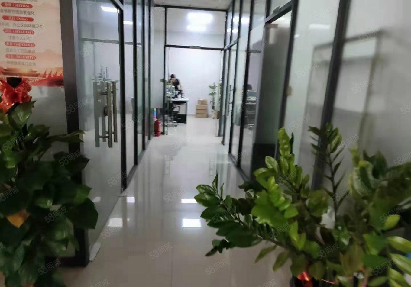 厂房出租松岗原房东独院2600平带精装修厂房