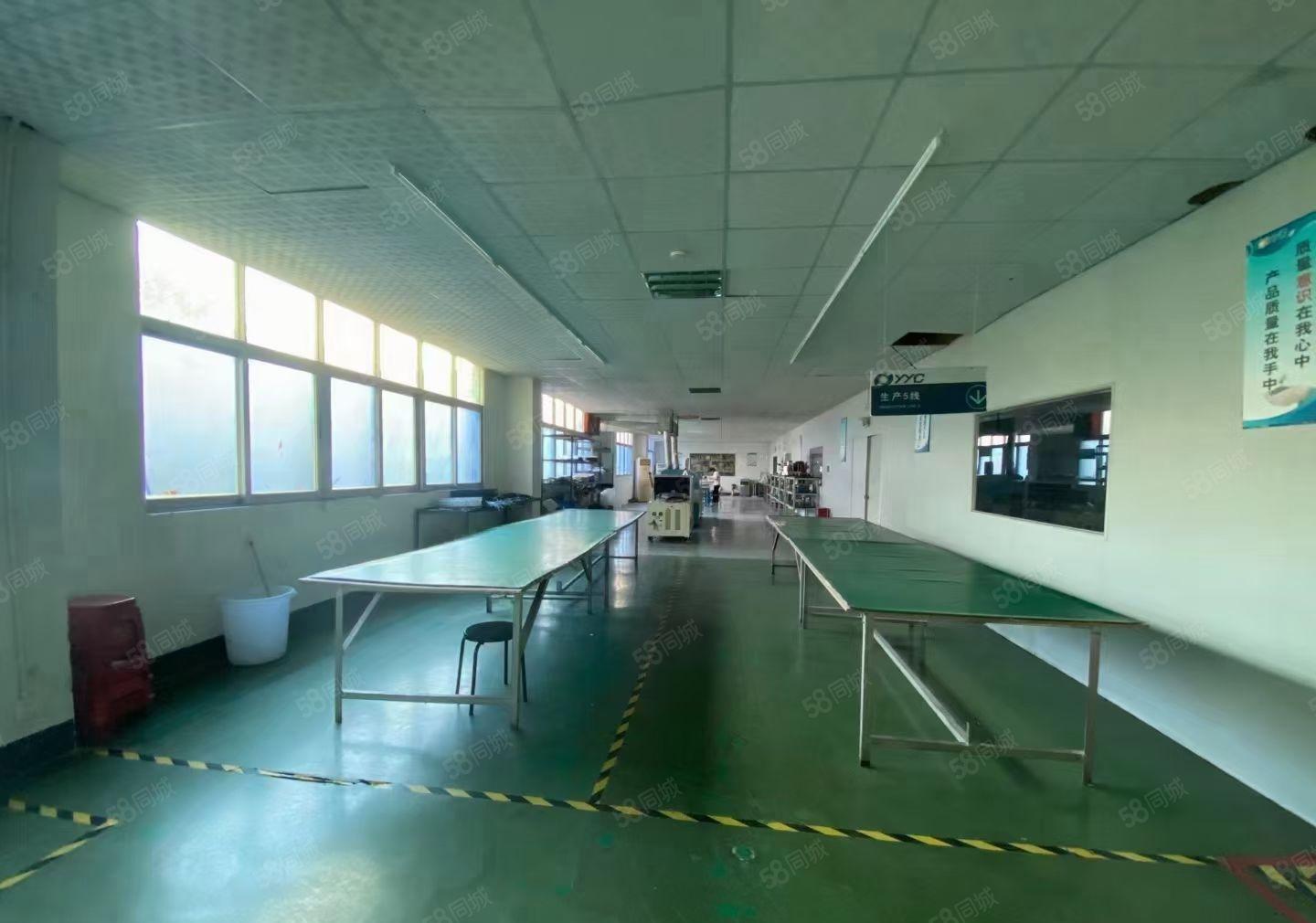 兴东洪浪北1000平米带装修办公厂房仓库出租