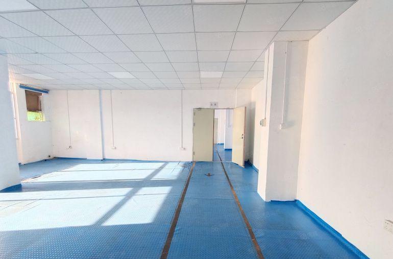 鹤洲洲石路，600平带装修厂房仓库出租，租金25元，水电齐全