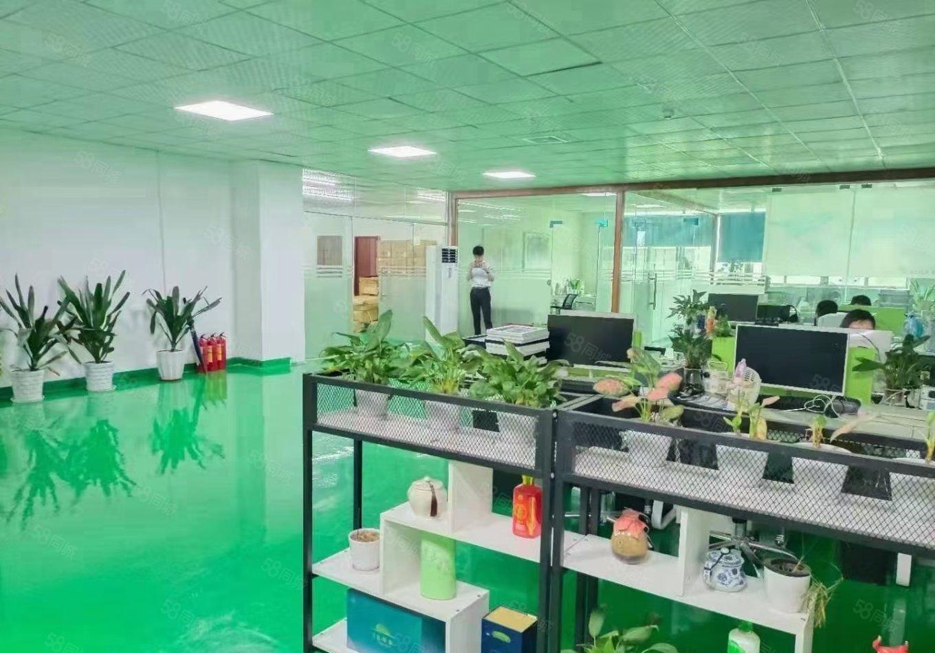 沙井地铁口1000平方精装修厂房出租分租仓库招租独院无尘车间