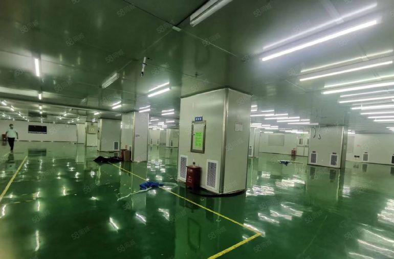 福永凤凰原房东独门独院厂房仓库低价出租6000平500起租