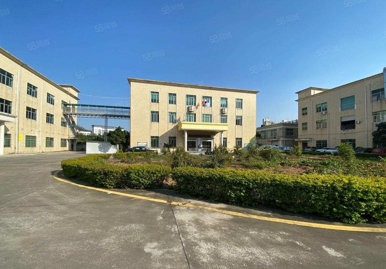 水电齐全石岩新出独院厂房楼上1600平精装办公厂房招租