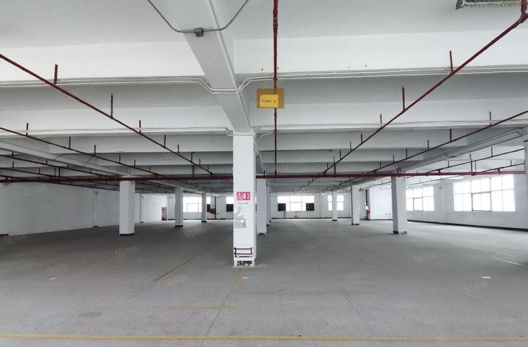 6000平独门独院原房东红本工业厂房低价出租沙井后亭地铁站