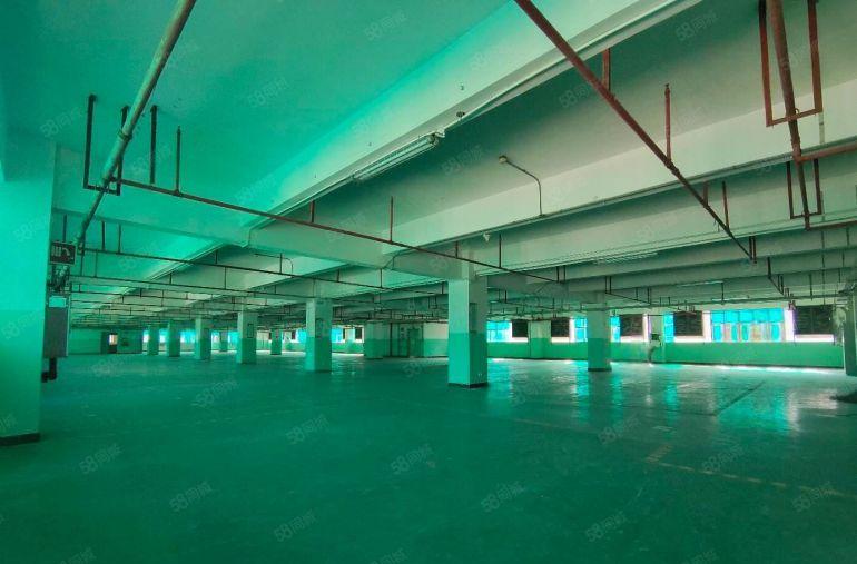 石岩地铁口旁原房东重工业厂房5000平方出租可分租可办环评