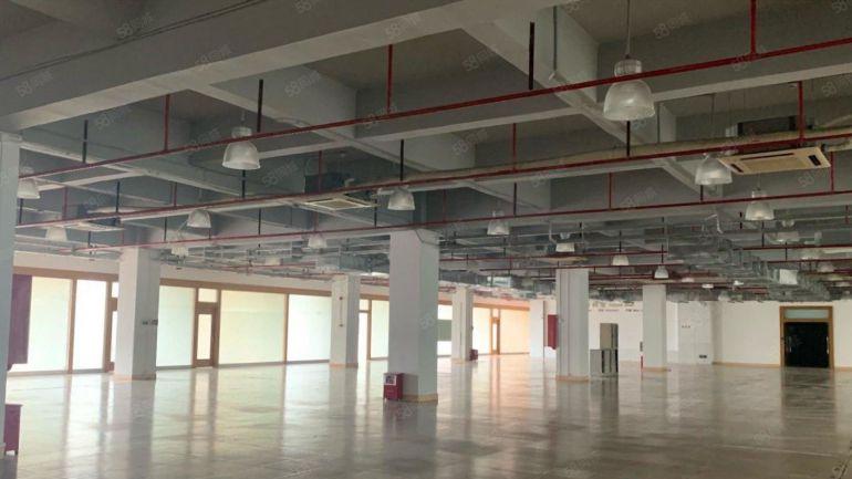 石岩一楼厂房出租内空400至2000平带装修工业园原房东