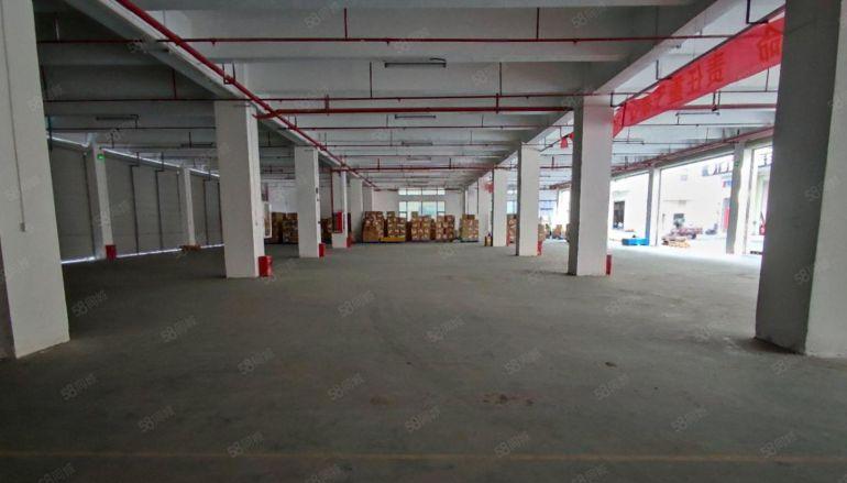 松岗塘下涌工业园原房东一楼500平方厂房仓库超大空地前后开门