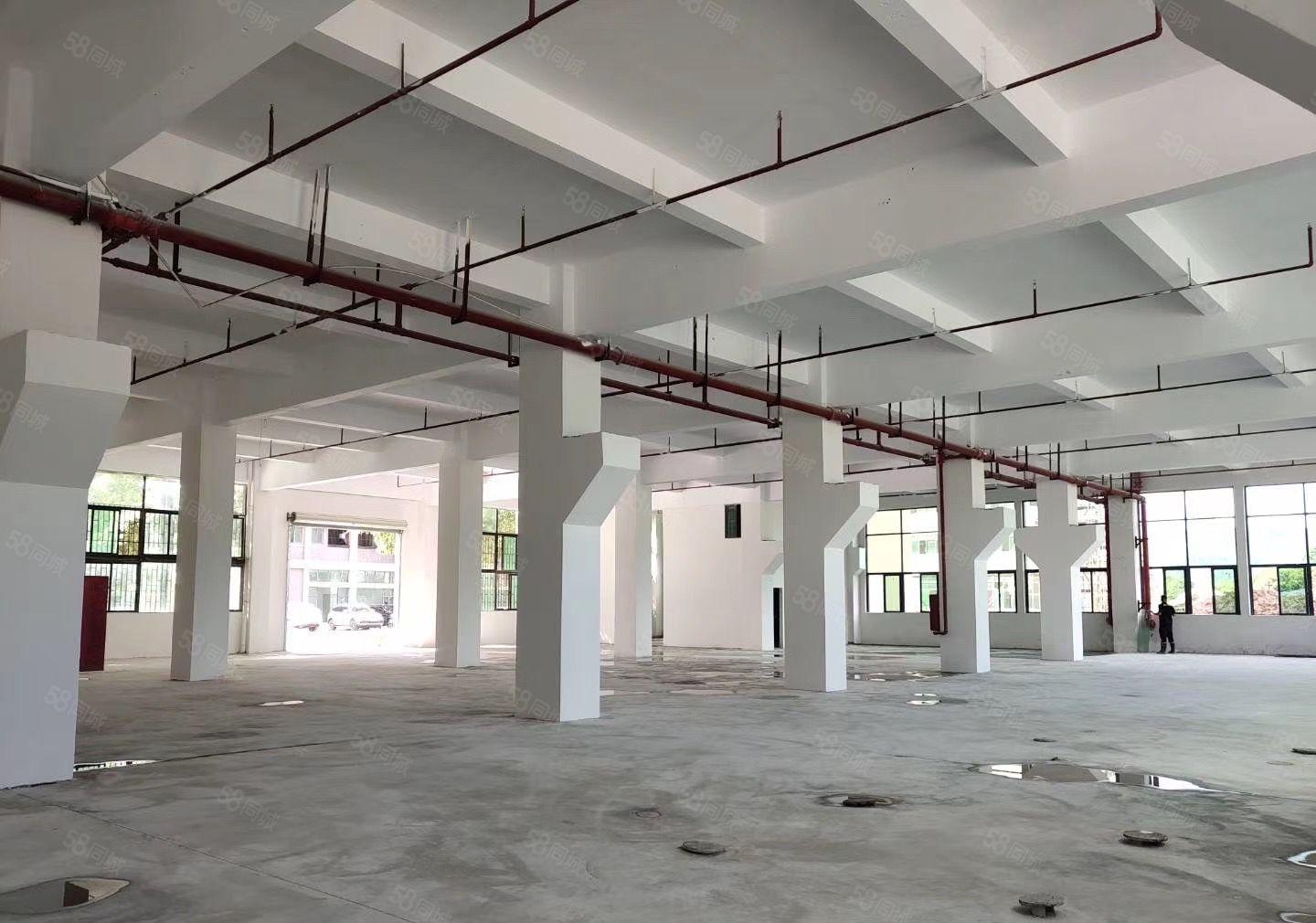 石岩塘头机荷高速出口新出一二楼单层面积3300平方一层