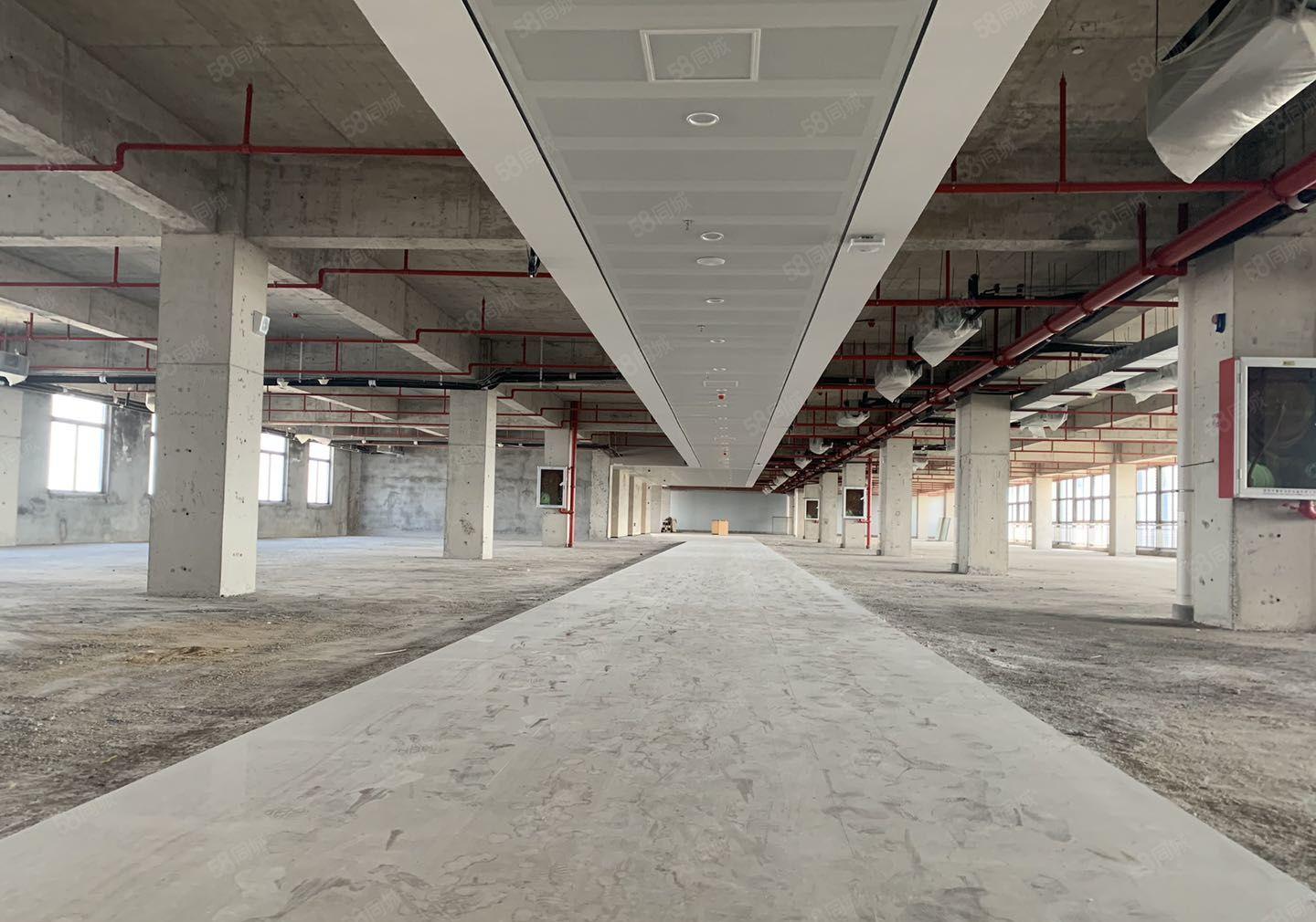 200平至70000平 层高3.7米至7.95米 专享补贴