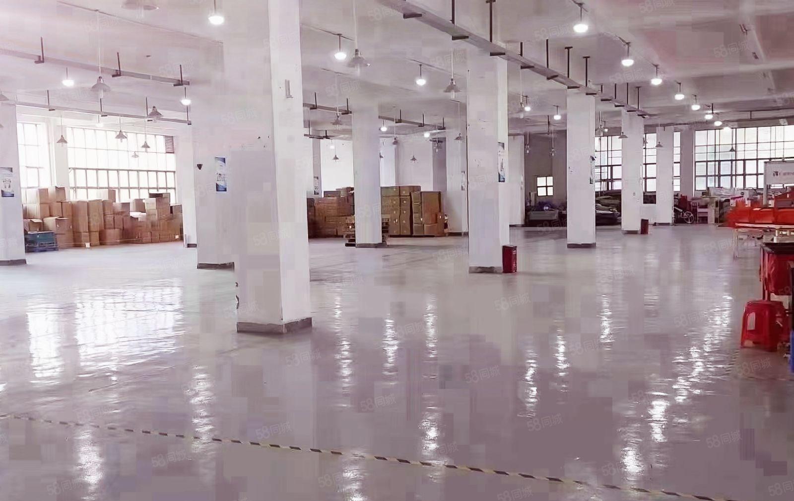 龙华一楼原房东4000平，可做物流仓储，适合多行业