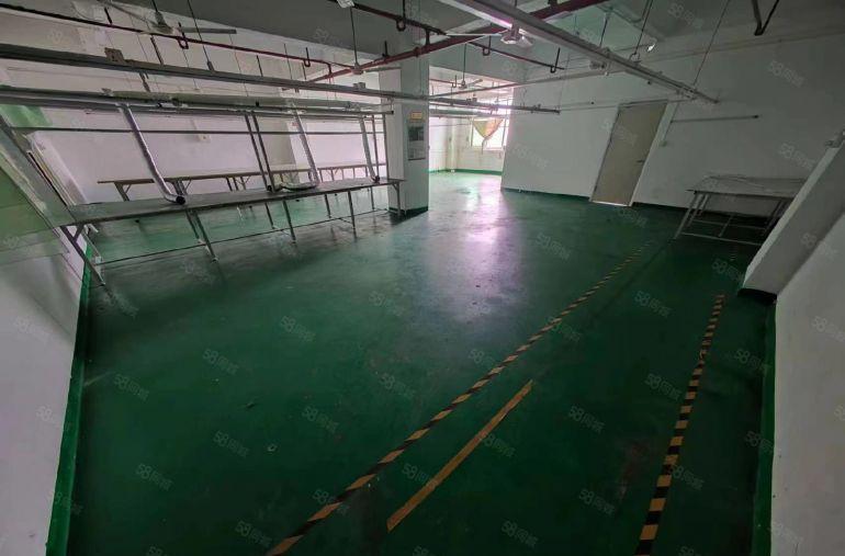 D9 133 1658 1753厂房招租，可分租，设施齐全