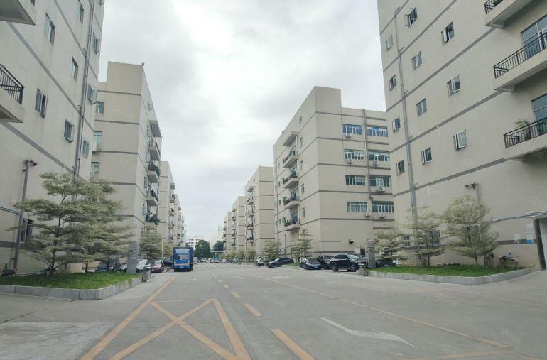 沙井后亭248平450平660平带装修