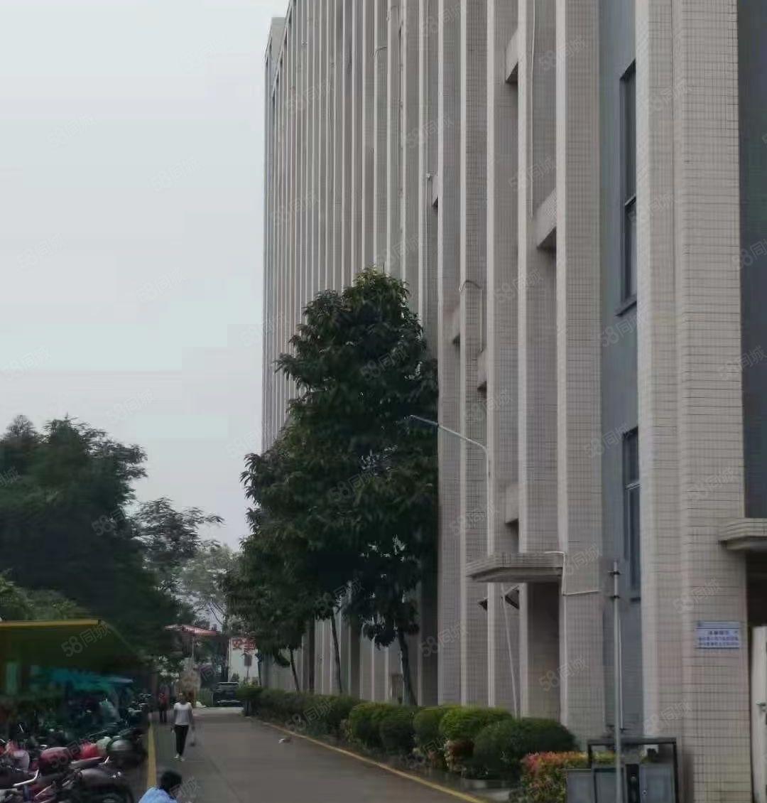 西乡107国道附近一楼1800平高度7米部分带装修水电到位