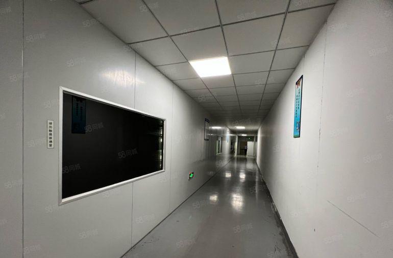 沙井沙一整层2700平米光电行业厂房装修，无尘车间无转让费