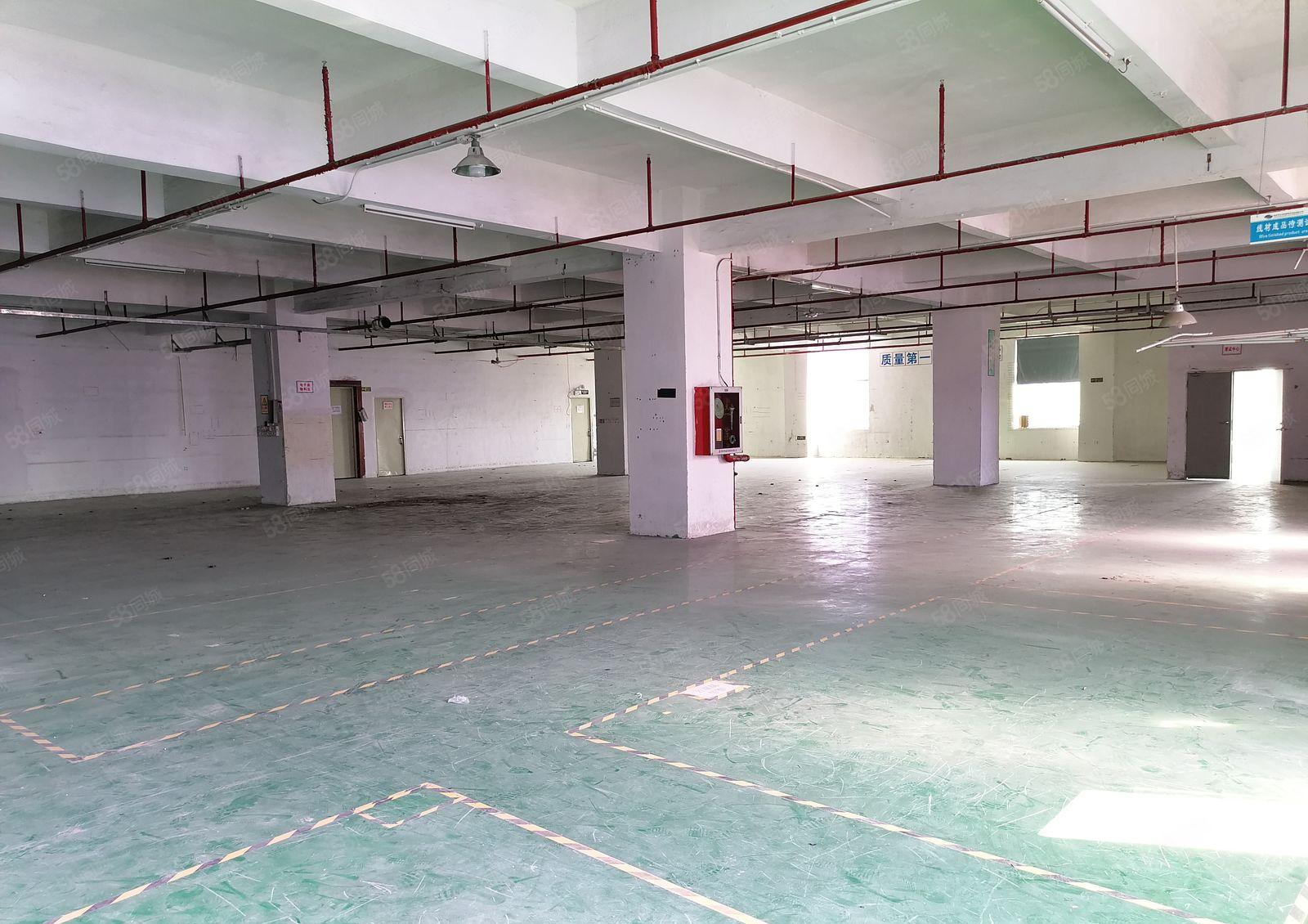 后亭地铁口1300平工贸科技园厂房出租