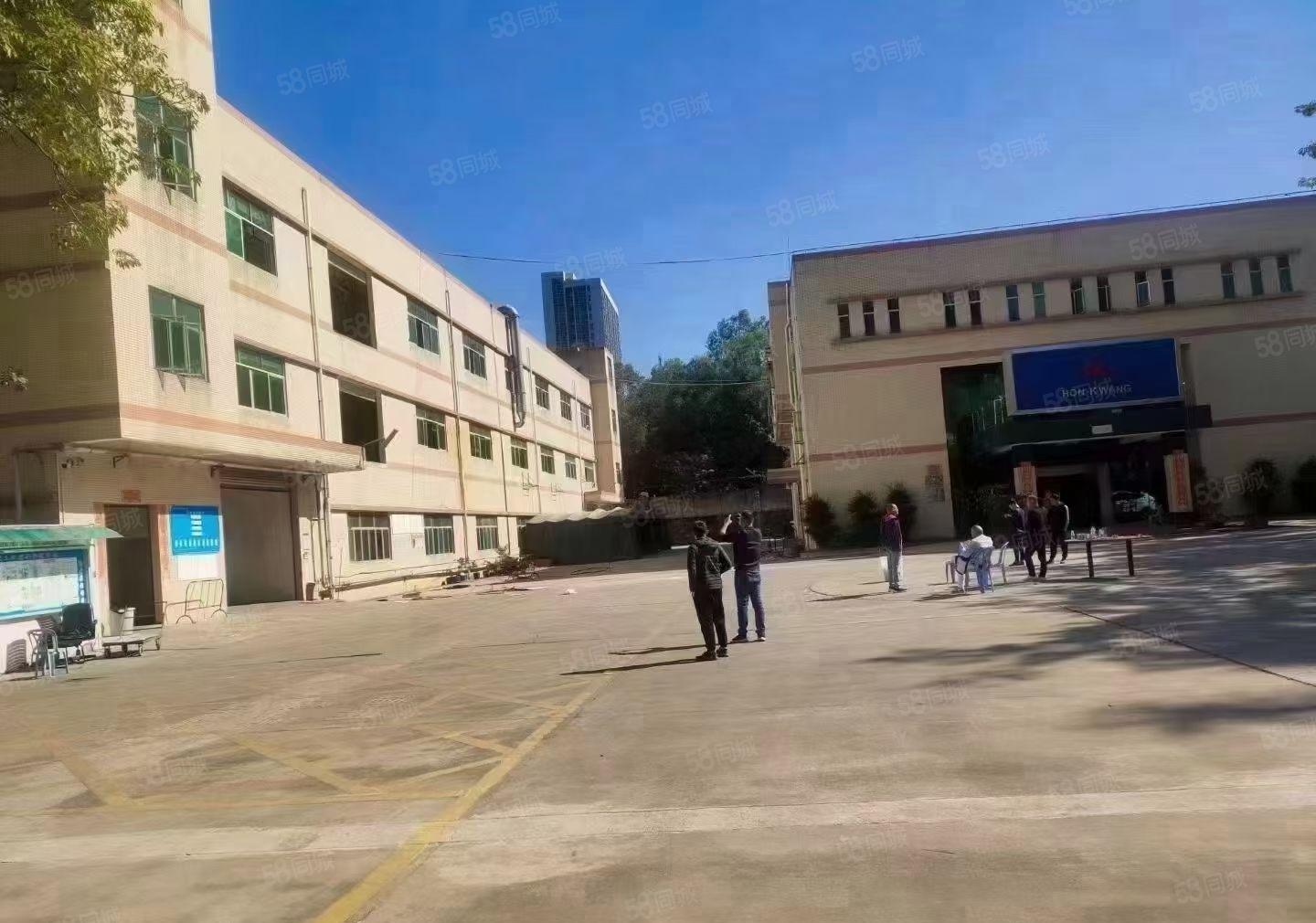 松岗东方新出独院厂房7250平方出租可分租