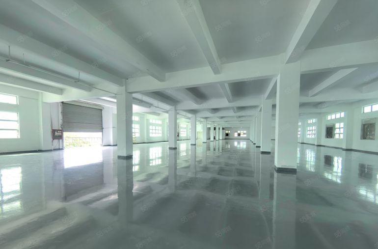 西乡九围2000平一层全新地坪漆大小分租原房东独门独院空地大